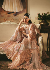 Saira Shakira | Reve Wedding Festive 26 | Roseate