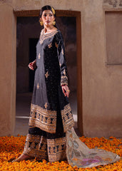 Haseens | Darbar Formals | Shabrang