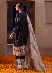 Haseens | Darbar Formals | Shabrang