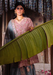 Haseens | Darbar Formals | Gulbarg