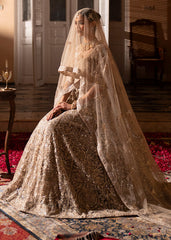 Haseens | Al Noor Formals | Afrooz