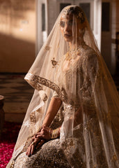 Haseens | Al Noor Formals | Afrooz