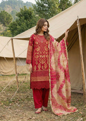 Diara Couture | Eid Lawn 26 | GLEAM - ZD-19