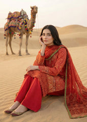 Diara Couture | Eid Lawn 26 | EID. GLEAM - ZD-19
