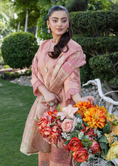 Diara Couture | Eid Lawn 26 |EID. BREEZE - ZD-22