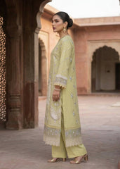 Diara Couture | Eid Lawn 26 | EID. AFEERA - LAWN-06