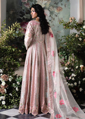 Haseens | Naira Formals | Ayna