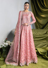 Haseens | Naira Formals | Rose