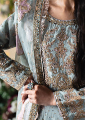 Haseens | Naira Formals | Falak