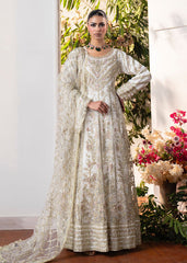 Haseens | Naira Formals | Roshni