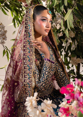 Haseens | Naira Formals | Zar Afshan