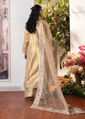 Haseens | Naira Formals | Sakeena
