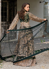 Haseens | Ayra Formals | Malaak