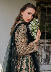 Haseens | Ayra Formals | Malaak