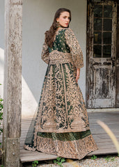 Haseens | Ayra Formals | Malaak
