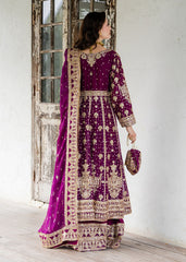Haseens | Ayra Formals | Suhani