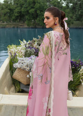 Saira Shakira | Bloom Lawn | IRIS 1A