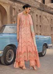 Saira Shakira | Bloom Lawn | AMBRE 1B