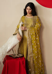 Haseens | Gulal Formals | Zarqam
