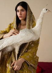 Haseens | Gulal Formals | Zarqam