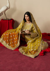 Haseens | Gulal Formals | Zarqam
