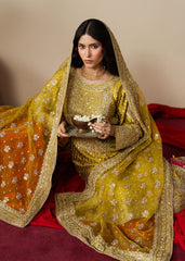 Haseens | Gulal Formals | Zarqam