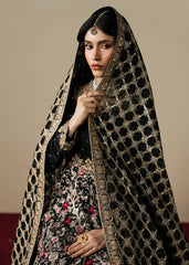 Haseens | Gulal Formals | Gulrang