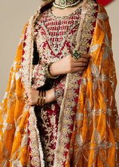 Haseens | Gulal Formals | Naazish