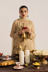 Vanya | Dastaan Formals | CF-003