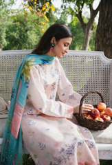Hum Dum | Summer Breeze 25 | D07