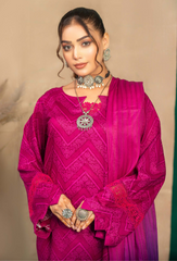 Humdum | AANGAN SS 24 | Aangan - D08