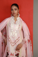 Shamaeel Ansari | Bagh e Bahar Lawn | Gulabo