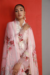 Shamaeel Ansari | Bagh e Bahar Lawn | Gulabo