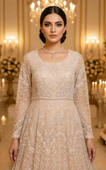 Threads and Motifs | Formal Dresses 25 | Net Embroidered Maxi