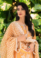 Saira Shakira | Luxury Pret | Wallflower | Zayan Clothing UK
