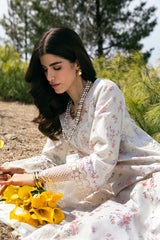 Qalamkar | Qlinekari Lawn | DC-13 Miri