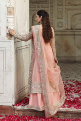 Akbar Aslam | Rang Mahal Formals | Naazi | Zayan Clothing UK