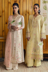 Qalamkar | Qlinekari Lawn | DC-04 Keva