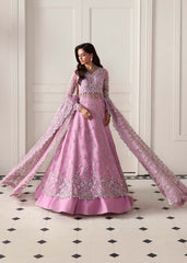 Dastoor | Serene Festive 25 | Reverie