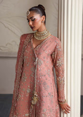 Dastoor | Serene Festive 25 | Elza