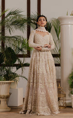 Threads and Motifs | Formal Dresses 25 | Net Embroidered Maxi