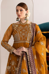 Nureh | Fancy Formals | NP-514