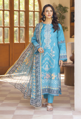 Humdum | Zarwisha 25 | Zarwisha-D07