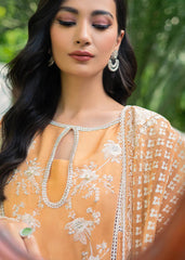 Saira Shakira | Luxury Pret | Wallflower | Zayan Clothing UK