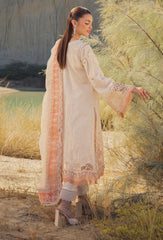 Adans Libas | Summers Inspired SS25 | INSPIRED 099912