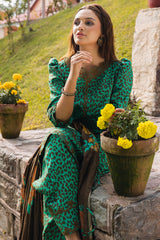 Charizma | Aniiq Embroidered Collection | STAPLE SHAWL ANW4-05