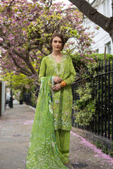 Sobia Nazir | Basics 25 | Design 3A
