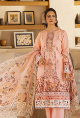 Humdum | Zarwisha 25 | Zarwisha-D01