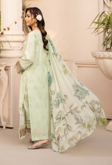 Humdum | Summer Breeze 26 | D11