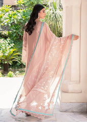 Saira Shakira | Luxury Pret | Zinnia | Zayan Clothing UK